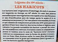 12 - Legume du 19e - Les Haricots.jpg